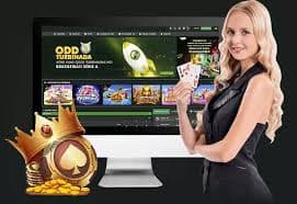 28.com bet